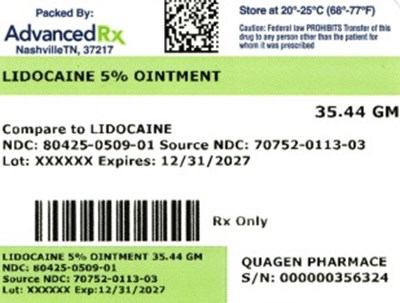 Lidocaine 5% Ointment 35.44g (Lidocaine Ointment 80425 0509 01)